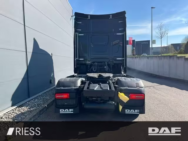 DAF XG 530 FT  Vollluft Leder Kamera ANDERE - Bild 6